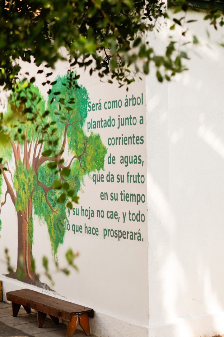 _FLO2690 (1) (Grande)